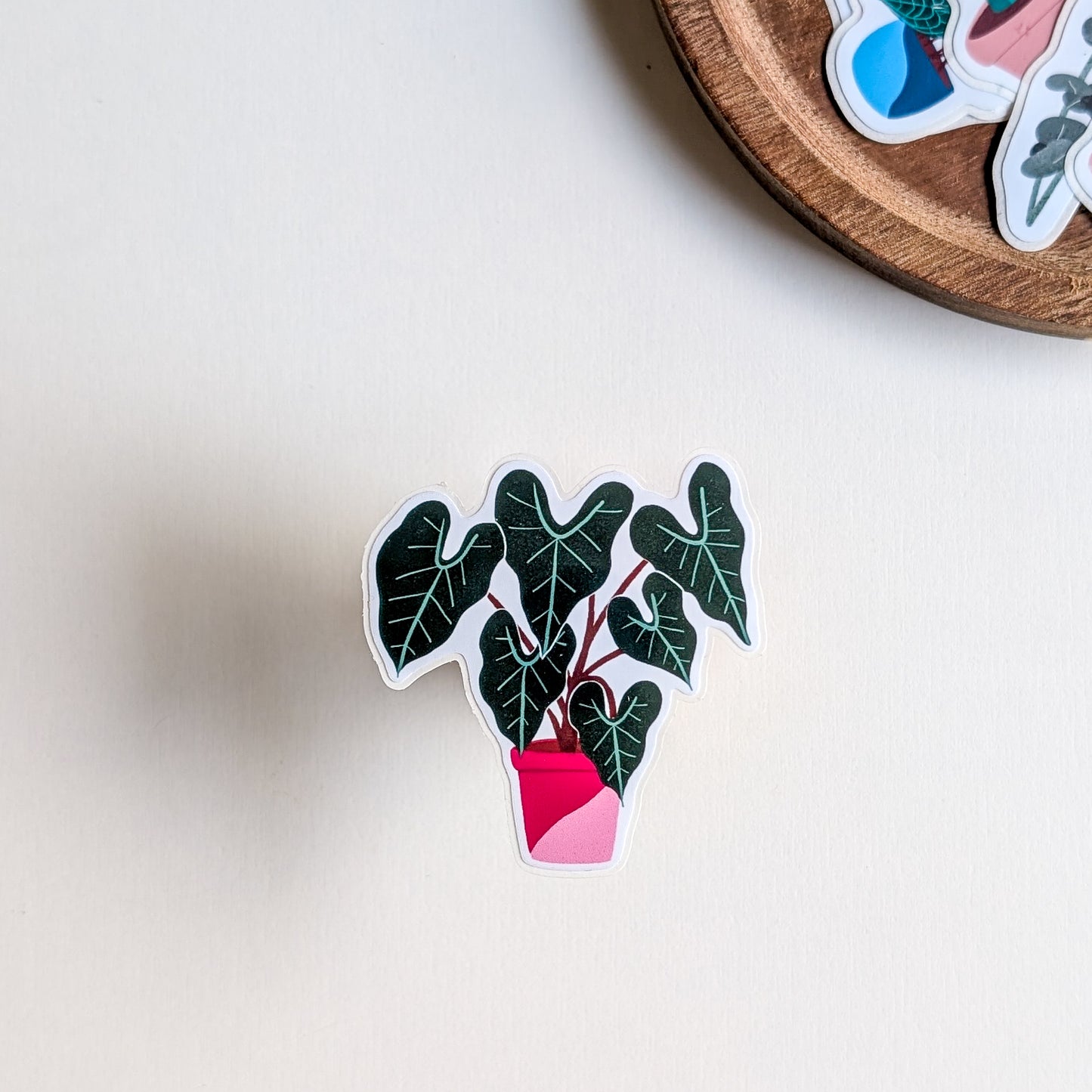 Sticker – Alocasia