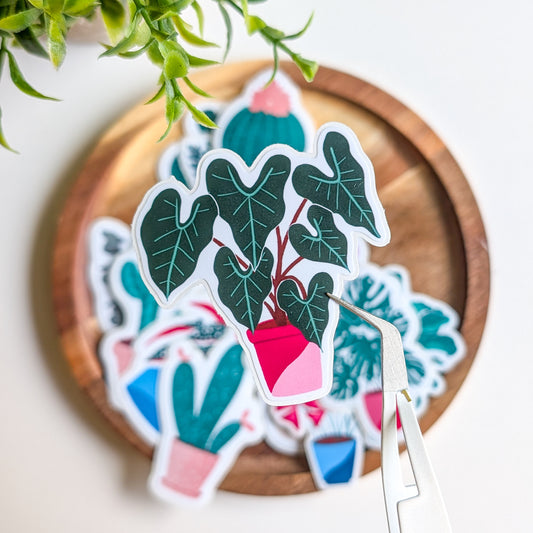 Sticker – Alocasia