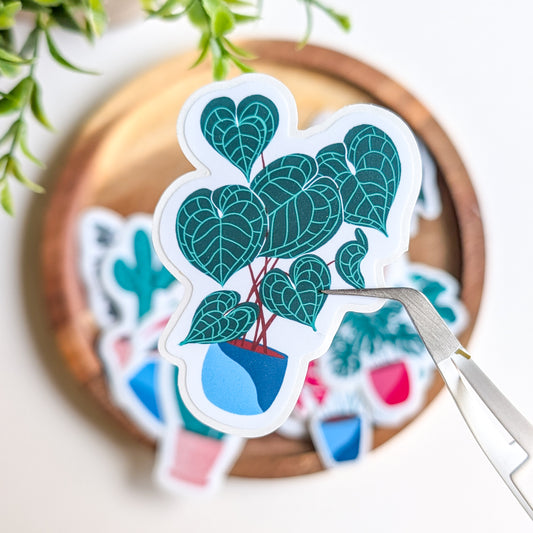 Sticker – Anthurium