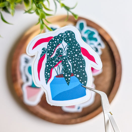 Sticker – Bégonia