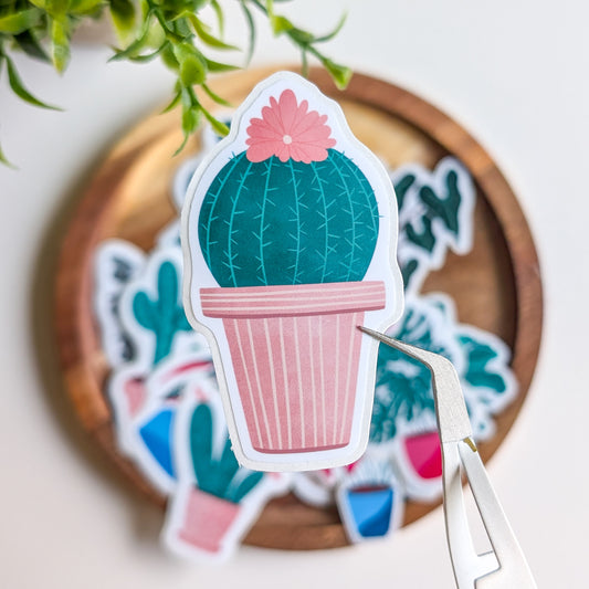 Sticker - Cactus rond fleuri