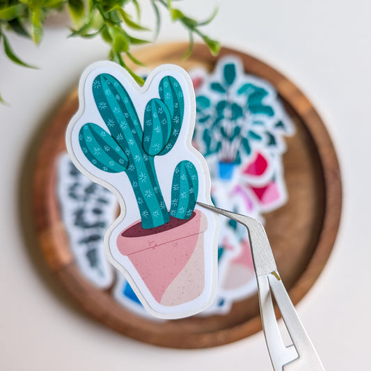 Sticker – Cactus à 5 branches