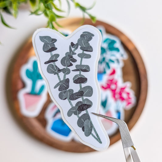 Sticker – Branche d'Eucalyptus