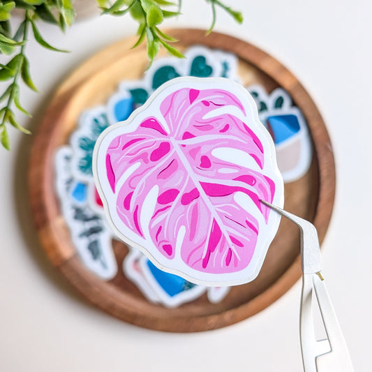 Sticker – Feuille de monstera rose