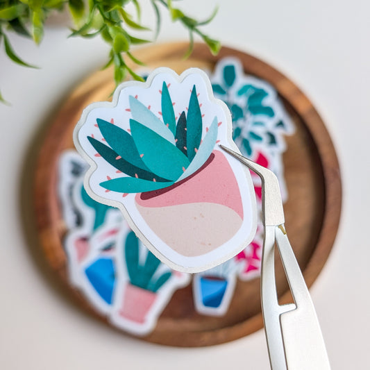 Sticker – Succulente 1