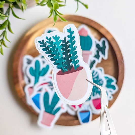 Sticker – Succulente 2