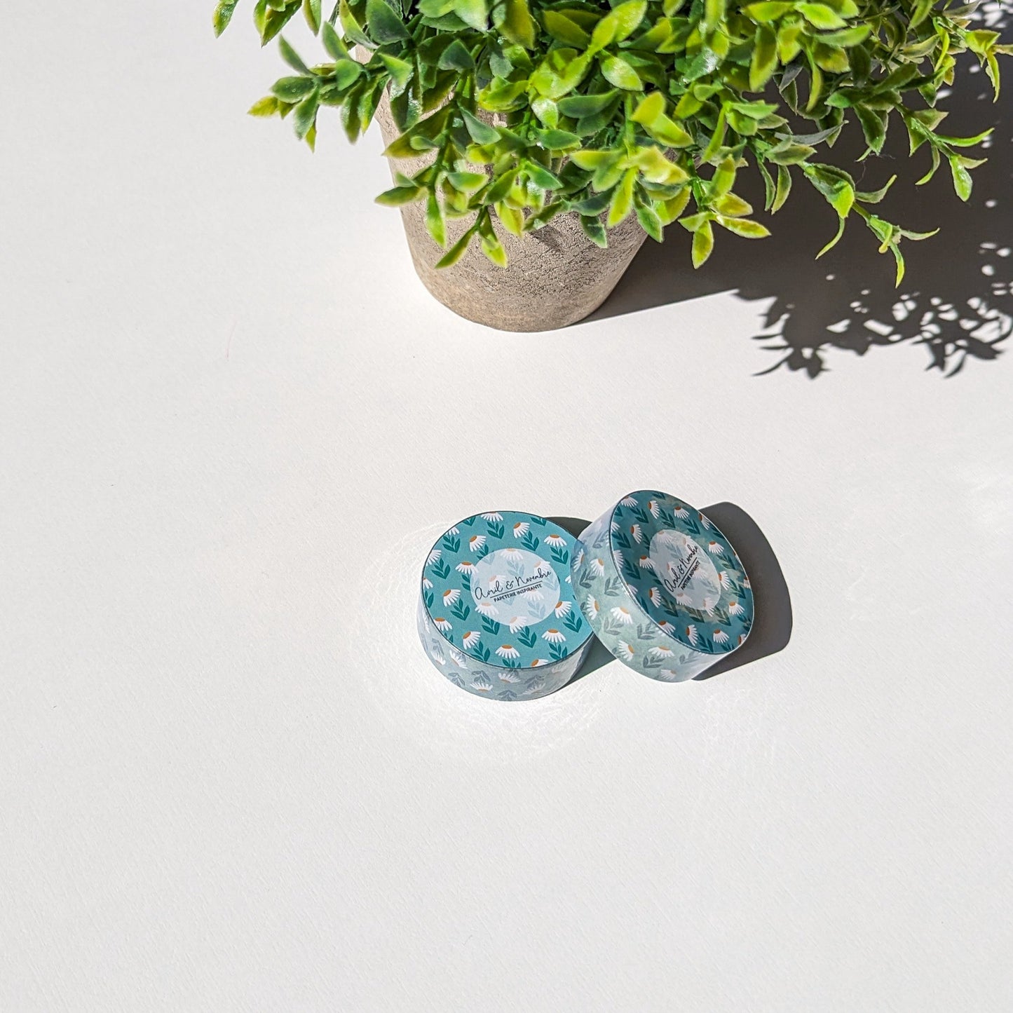 Lot de 2 Rubans Washi - Marguerites