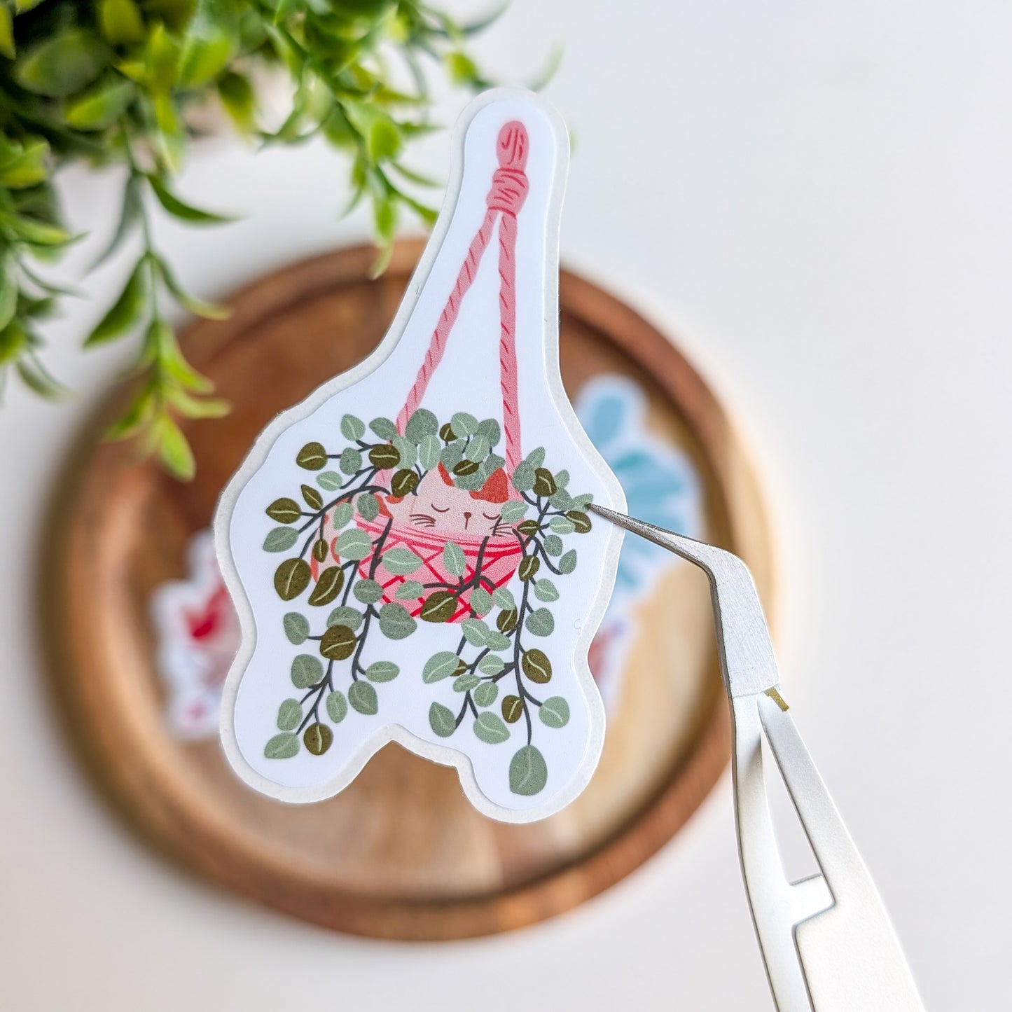 Sticker – Chat dans une plante suspendue