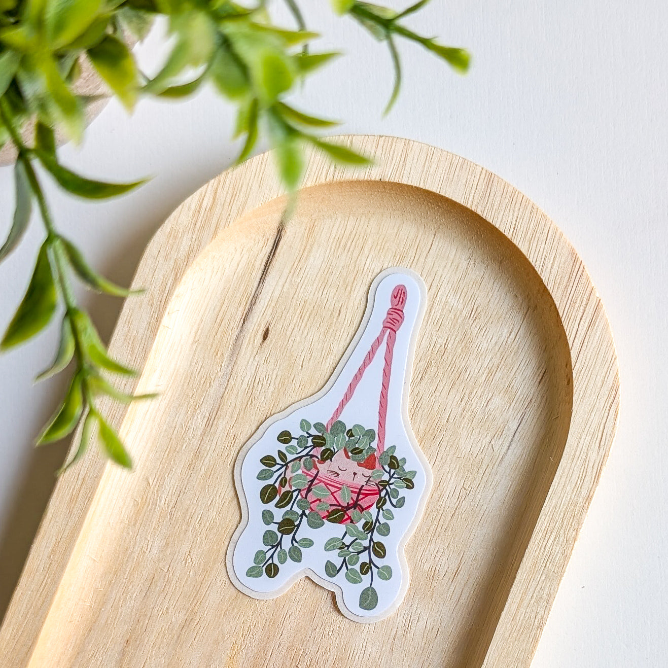 Sticker – Chat dans une plante suspendue