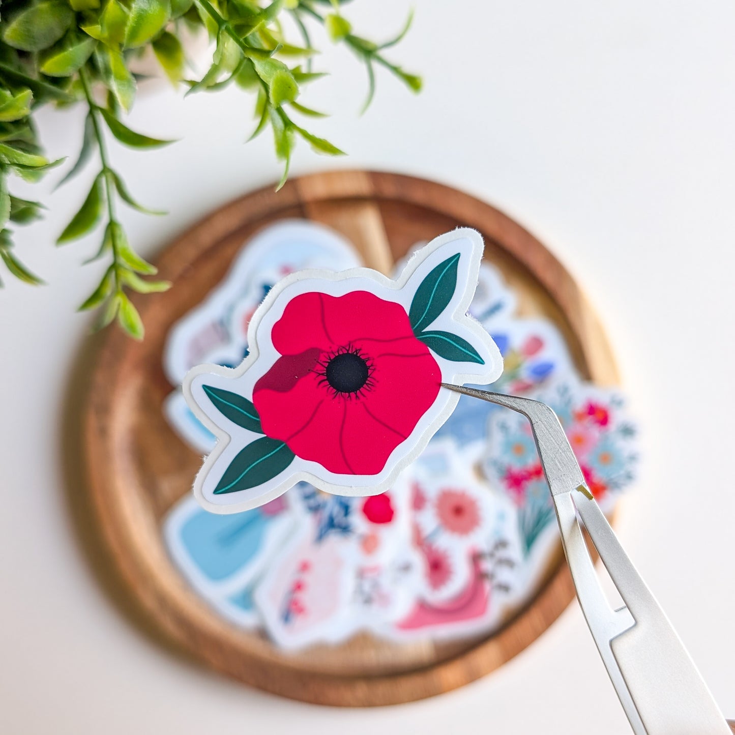 Sticker – Anémone rouge