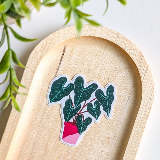Sticker – Alocasia