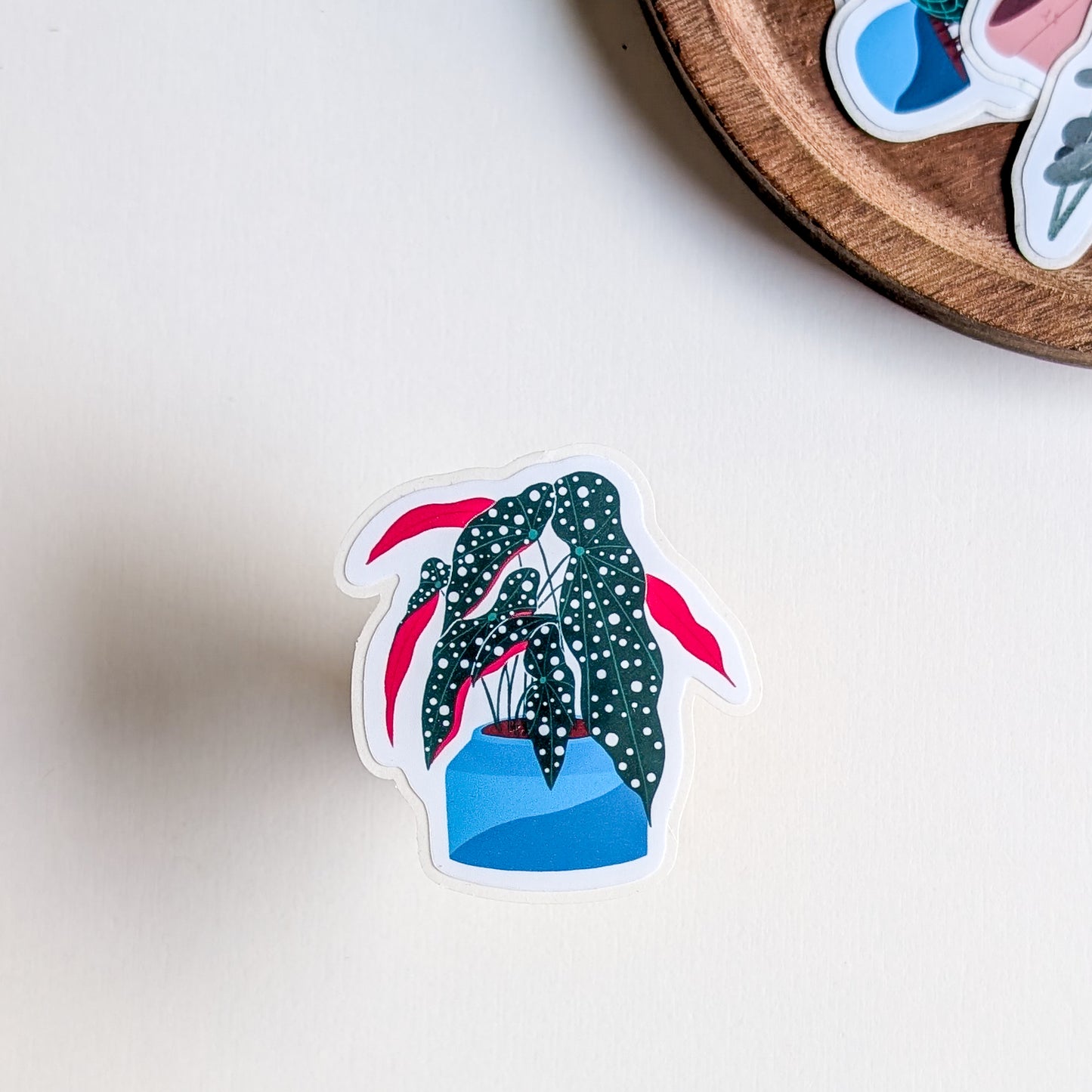 Sticker – Bégonia