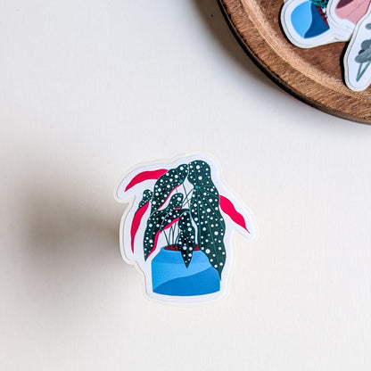 Sticker – Bégonia