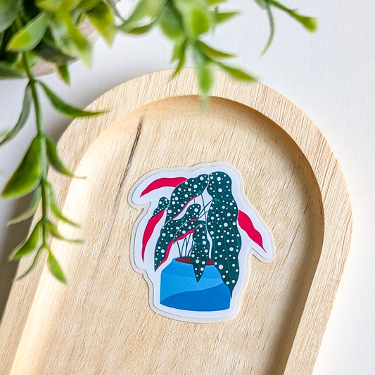 Sticker – Bégonia