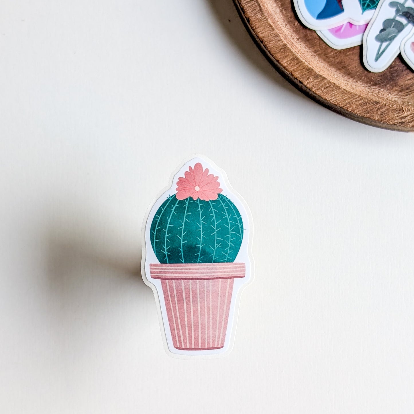 Sticker - Cactus rond fleuri