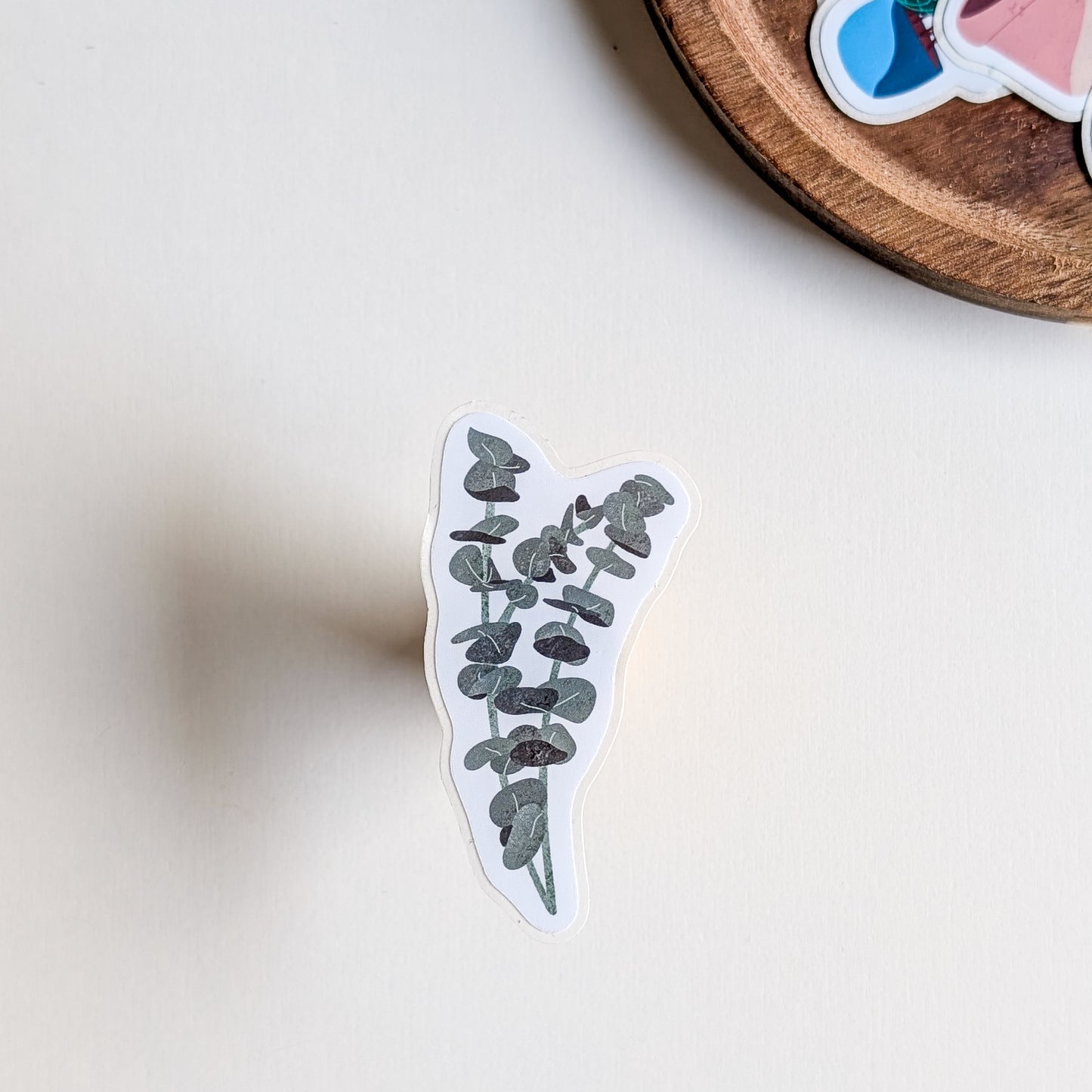 Sticker – Branche d'Eucalyptus
