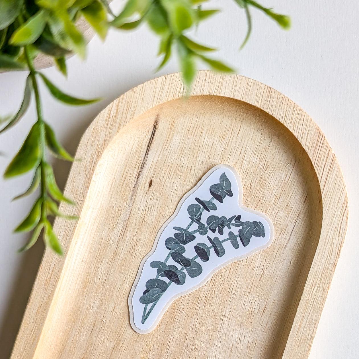 Sticker – Branche d'Eucalyptus