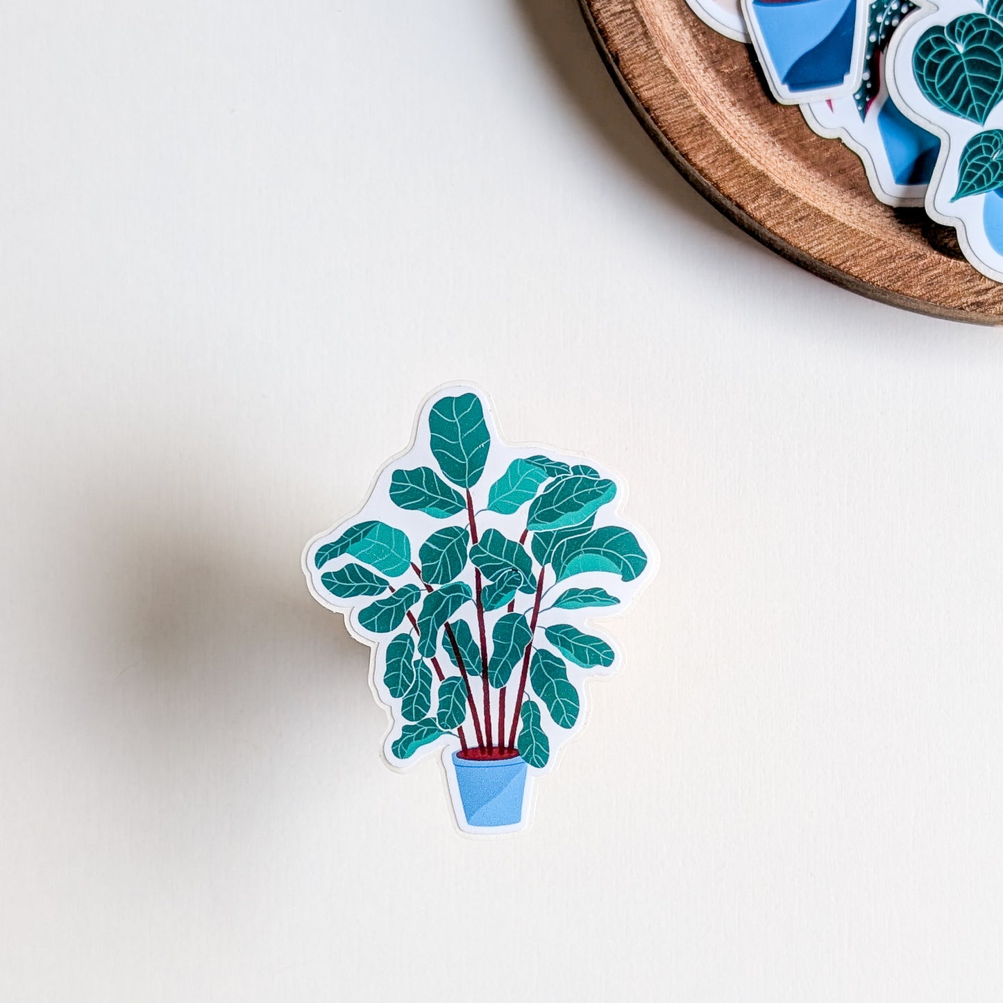 Sticker – Fiddle Leaf Fig