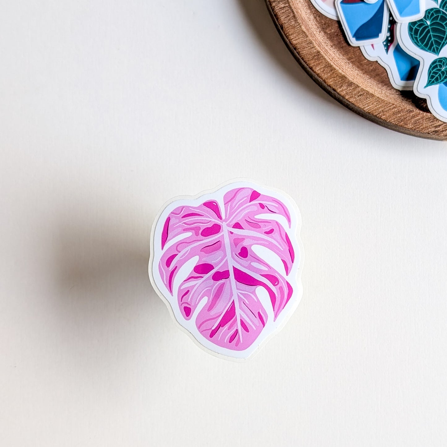 Sticker – Feuille de monstera rose