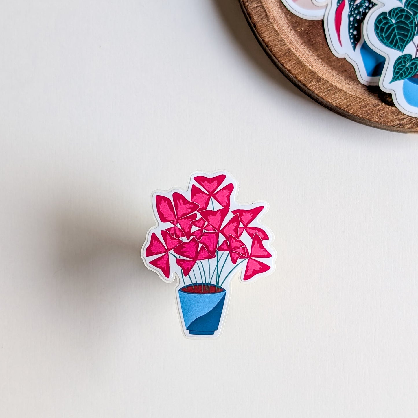 Sticker – Oxalis