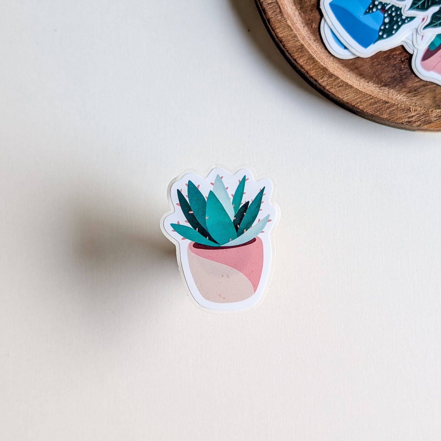 Sticker – Succulente 1