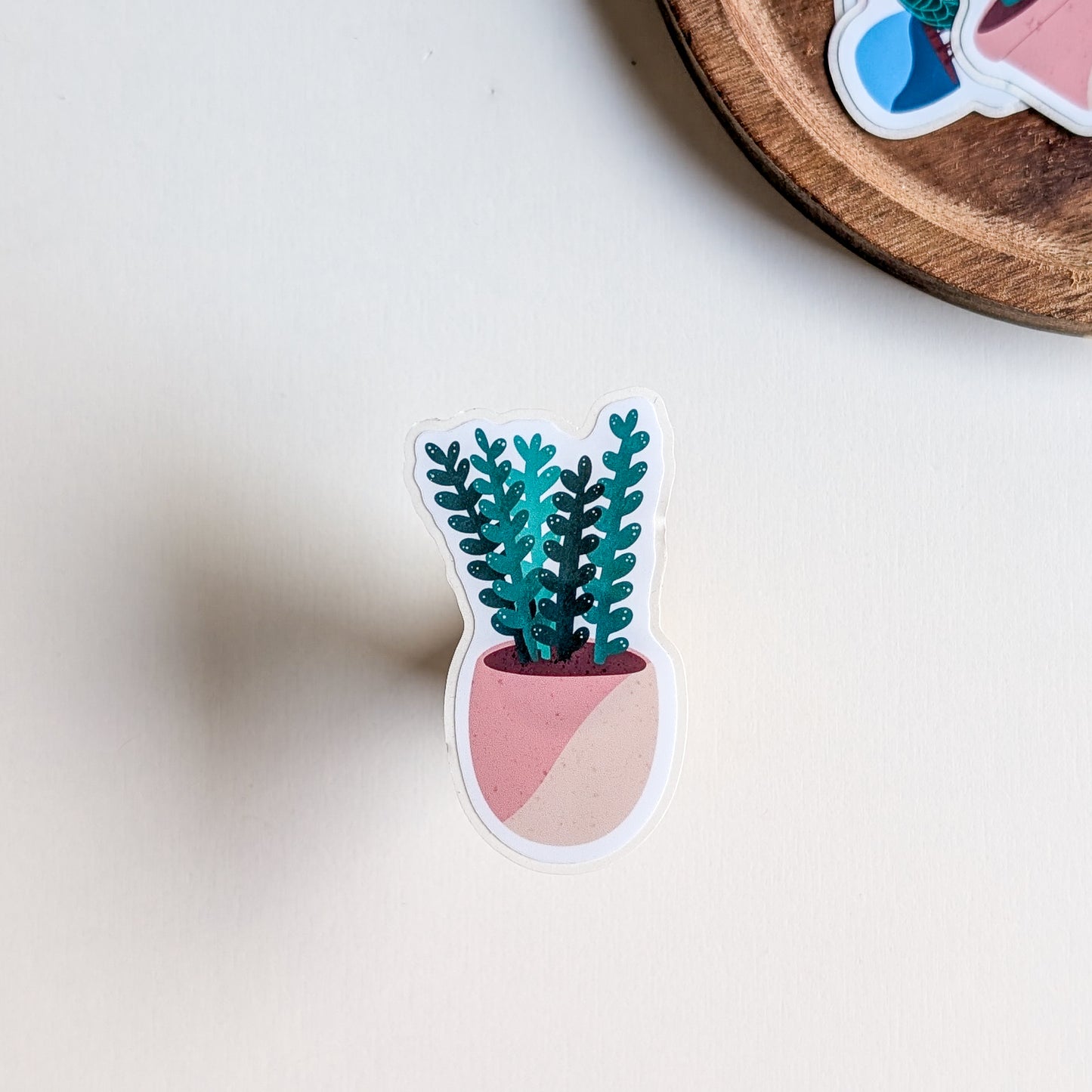 Sticker – Succulente 2