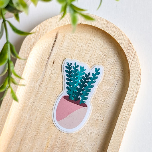 Sticker – Succulente 2