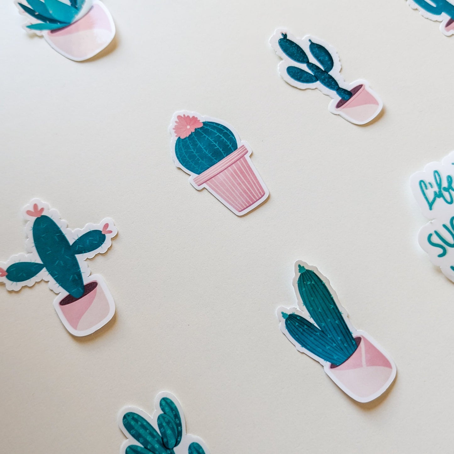 Stickers thème cactus et succulentes