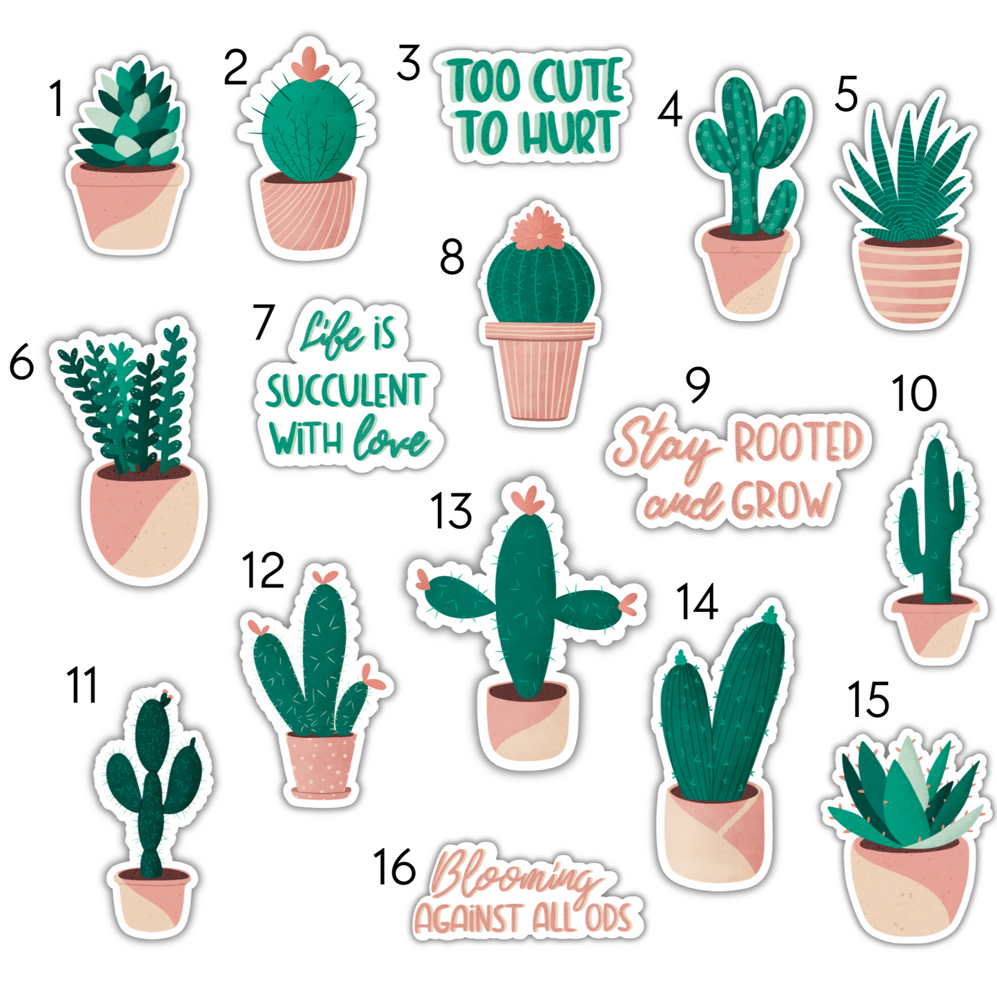 Stickers thème cactus et succulentes